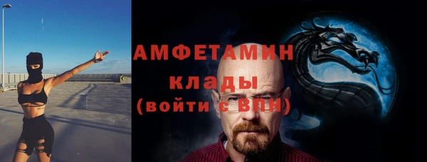 стаф Алзамай