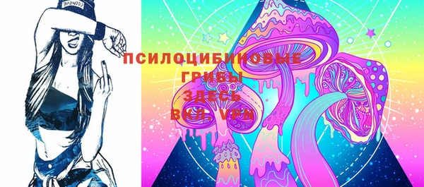 стаф Алзамай