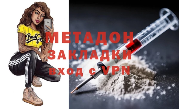 стаф Алзамай