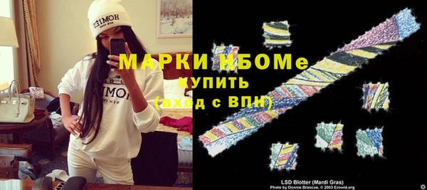 стаф Алзамай