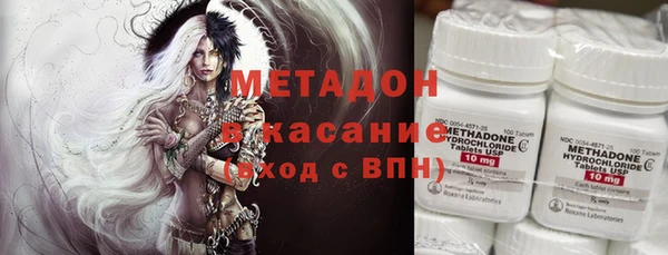 стаф Алзамай